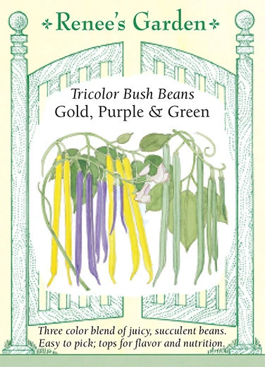 RG Bush Beans Tricolor